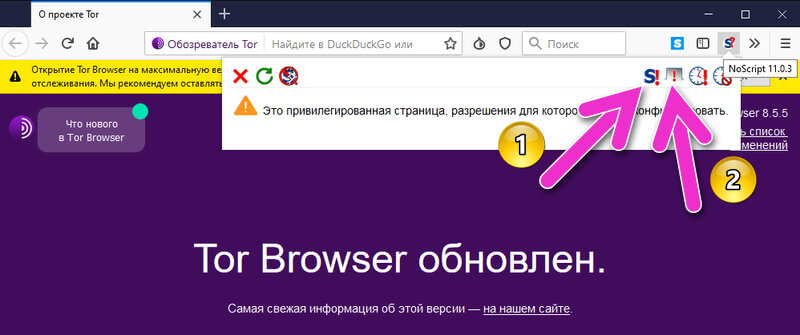 как включить javascript в браузере tor browser